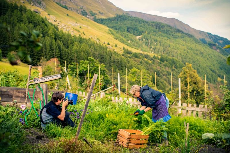 Großartige Ergebnisse im Nationalpark-Fotokurs